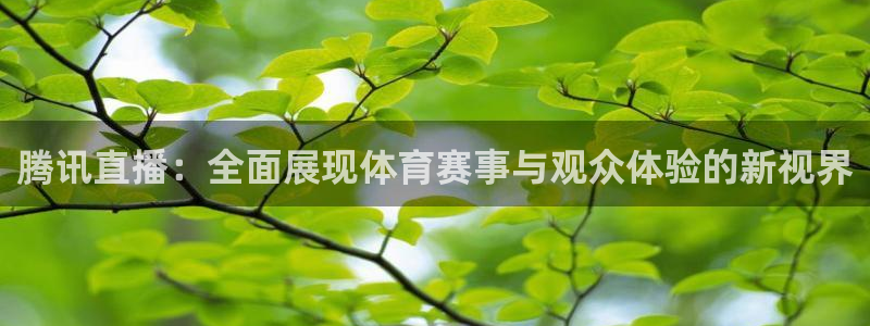 腾讯直播：全面展现体育赛事与观众体验的新视界