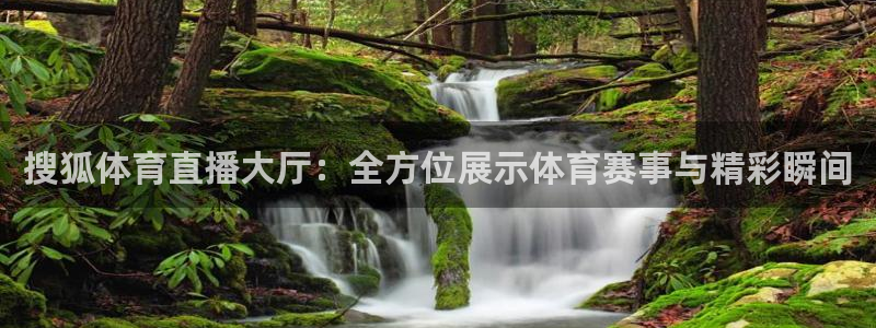 搜狐体育直播大厅：全方位展示体育赛事与精彩瞬间