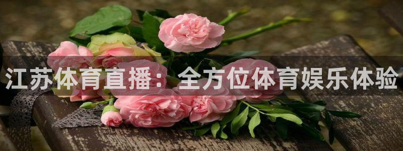 江苏体育直播：全方位体育娱乐体验