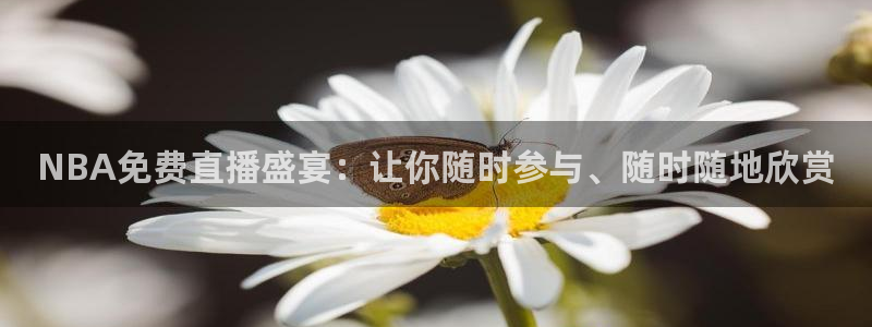 NBA免费直播盛宴：让你随时参与、随时随地欣赏