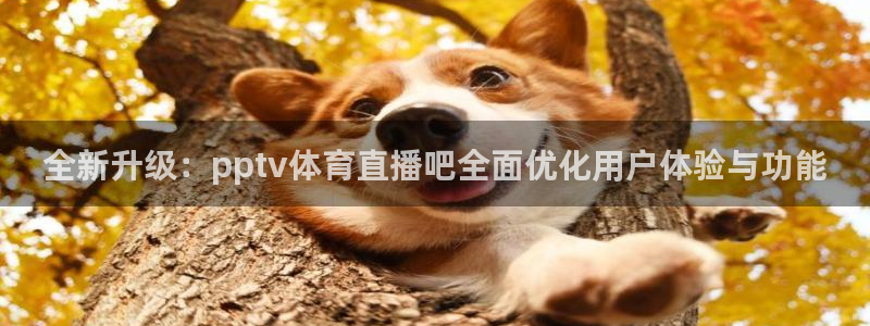 全新升级：pptv体育直播吧全面优化用户体验与功能