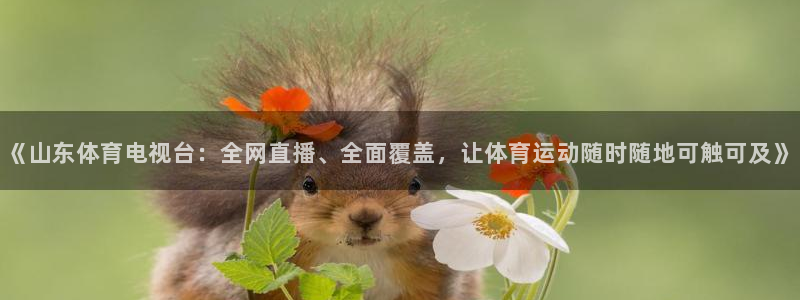 《山东体育电视台：全网直播、全面覆盖，让体育运动随时随地可触可及》