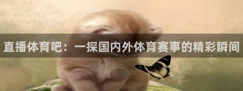 直播体育吧：一探国内外体育赛事的精彩瞬间