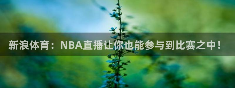 新浪体育：NBA直播让你也能参与到比赛之中！