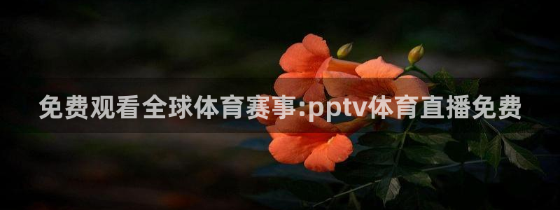 免费观看全球体育赛事:pptv体育直播免费