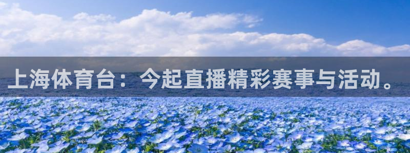 上海体育台：今起直播精彩赛事与活动。