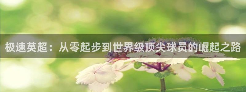 极速英超：从零起步到世界级顶尖球员的崛起之路