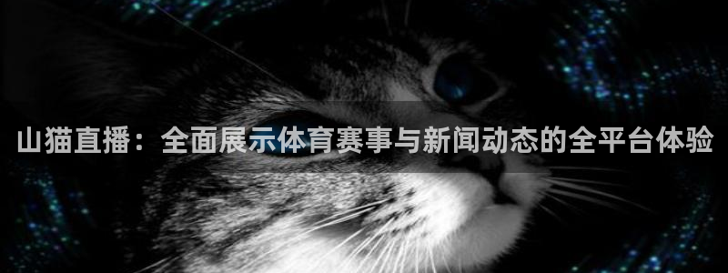 山猫直播：全面展示体育赛事与新闻动态的全平台体验