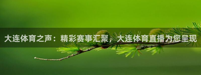 大连体育之声：精彩赛事汇聚，大连体育直播为您呈现