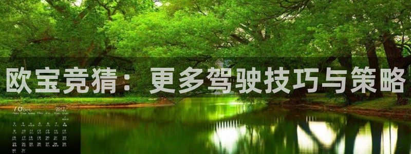 欧宝竞猜：更多驾驶技巧与策略