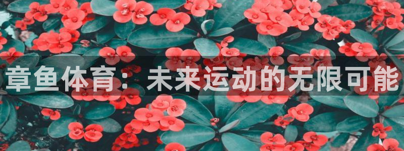 章鱼体育：未来运动的无限可能