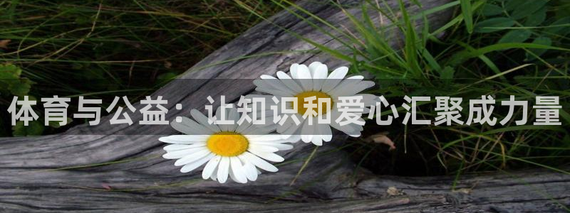 体育与公益：让知识和爱心汇聚成力量