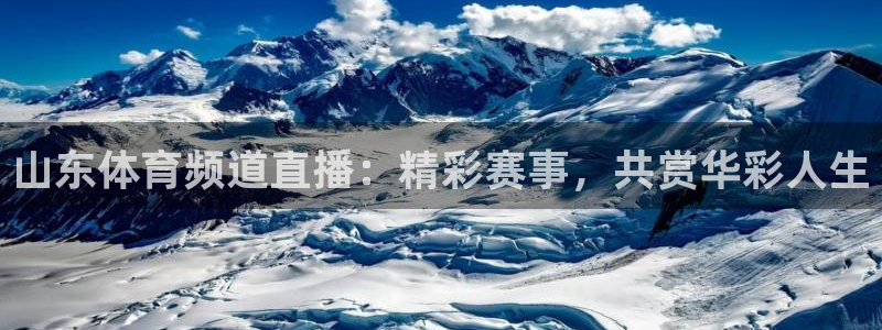 山东体育频道直播：精彩赛事，共赏华彩人生