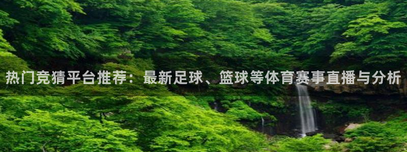 热门竞猜平台推荐：最新足球、篮球等体育赛事直播与分析