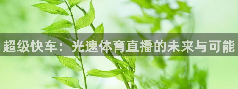 超级快车：光速体育直播的未来与可能