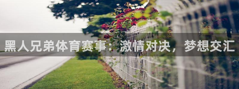 黑人兄弟体育赛事：激情对决，梦想交汇