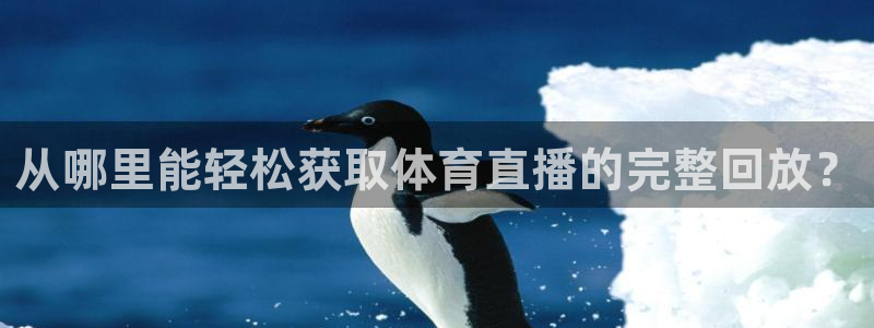 从哪里能轻松获取体育直播的完整回放？