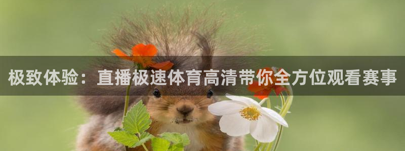 极致体验：直播极速体育高清带你全方位观看赛事