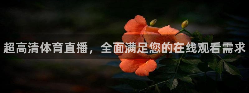 超高清体育直播，全面满足您的在线观看需求