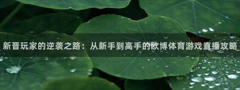新晋玩家的逆袭之路：从新手到高手的欧博体育游戏直播攻略