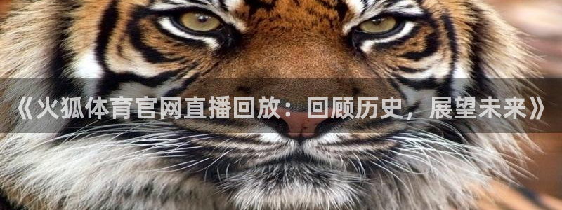 《火狐体育官网直播回放：回顾历史，展望未来》