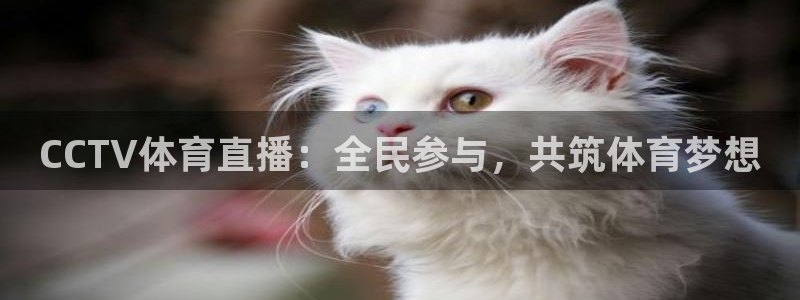 CCTV体育直播：全民参与，共筑体育梦想