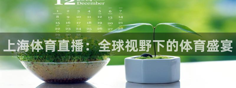 上海体育直播：全球视野下的体育盛宴