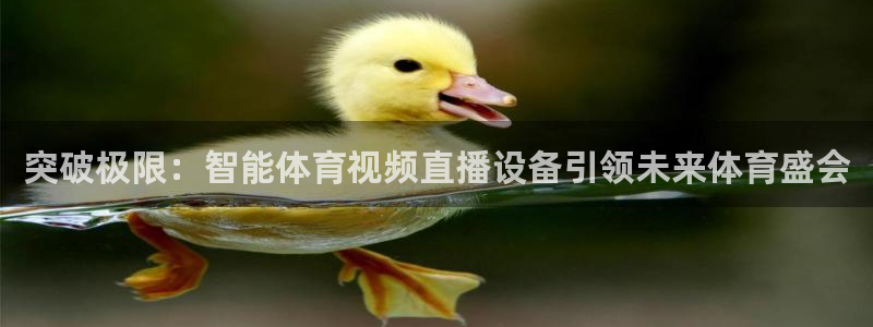 突破极限：智能体育视频直播设备引领未来体育盛会