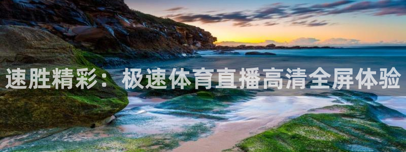 速胜精彩：极速体育直播高清全屏体验
