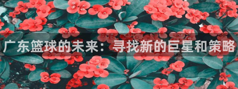 广东篮球的未来：寻找新的巨星和策略