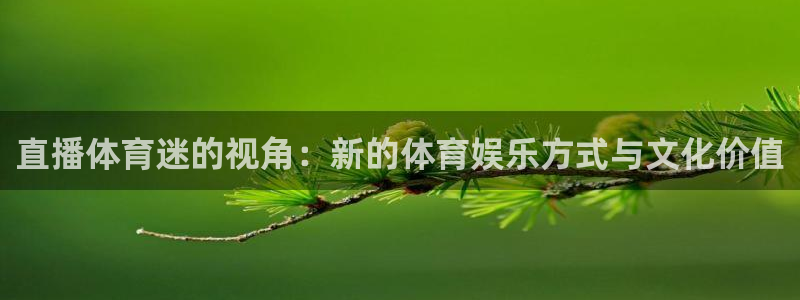 直播体育迷的视角：新的体育娱乐方式与文化价值